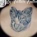 Tattoos - Ritratto Gattino, Cat portrait - 82313